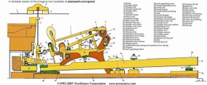 vleugelmechaniek doorsnede