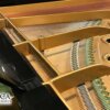 Bechstein kopen