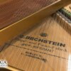 Carl Bechstein