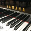 Yamaha C3