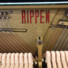 Rippen | Bouwjaar: 1970 - Afbeelding 4