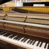 Yamaha "Chippendale" | C-serie - Afbeelding 2