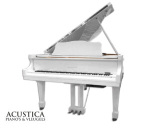 Pianodisc