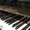 Schimmel 175