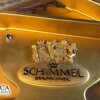 Schimmel