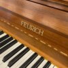 Feurich piano