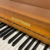 Hoffmann Bechstein