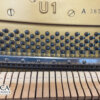 Yamaha U1 A