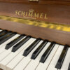 Schimmel kopen